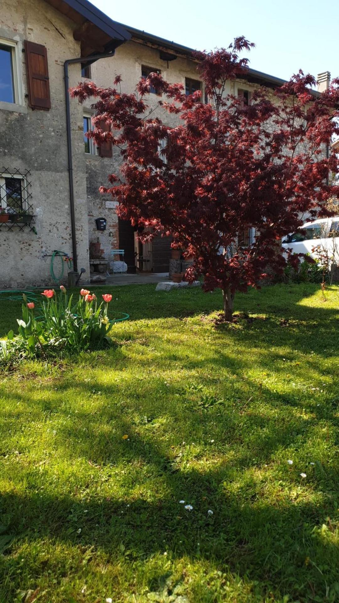 B&B Karin - Rooms & Breakfast Udine Exterior foto